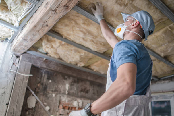 Types of Insulation We Offer in Niles, MI