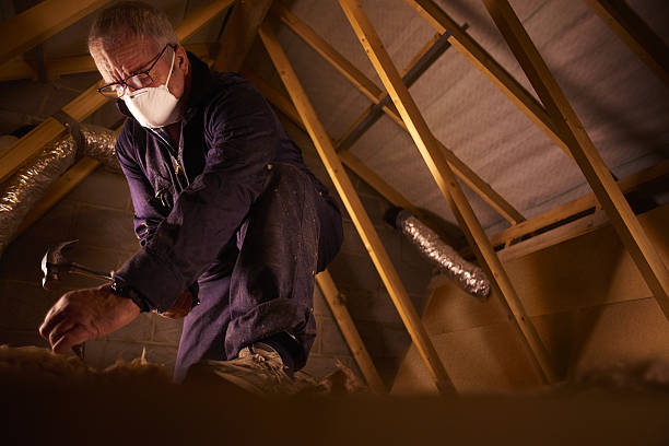 Best Commercial Insulation in Niles, MI
